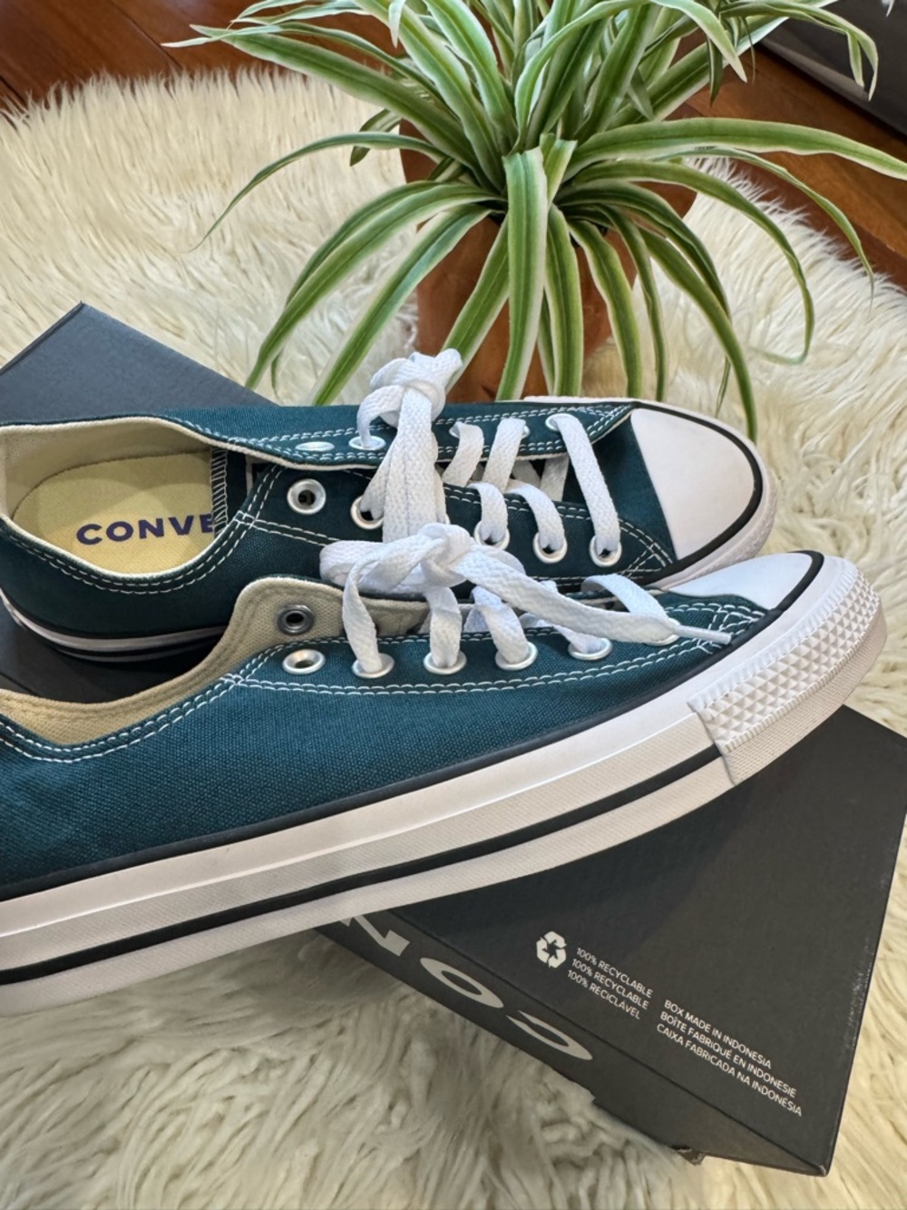Converse Low-Top Sneakers in Teal Green - Picture 3 of 6